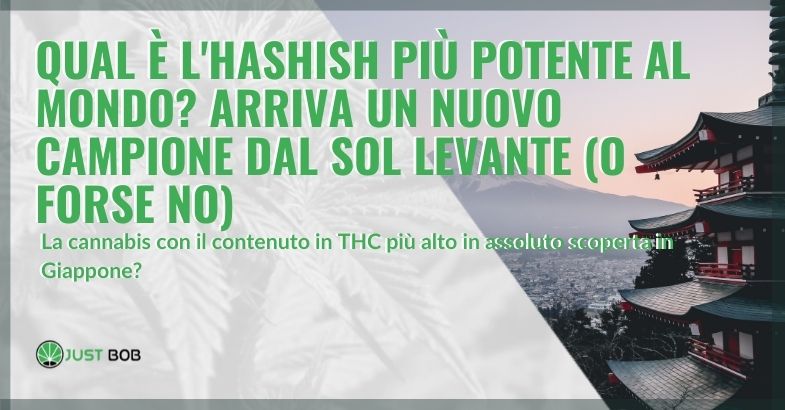 Qual è l’hashish più potente al mondo?