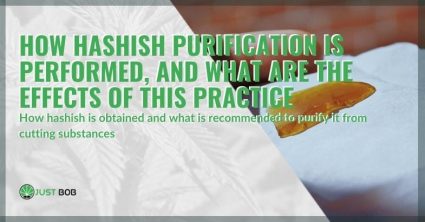 How hashish purification is performed