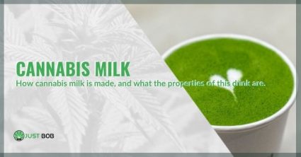 How cannabis milk is made