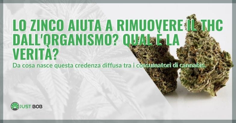 C’è chi dice che lo zinco aiuta a rimuovere il THC dall’organismo