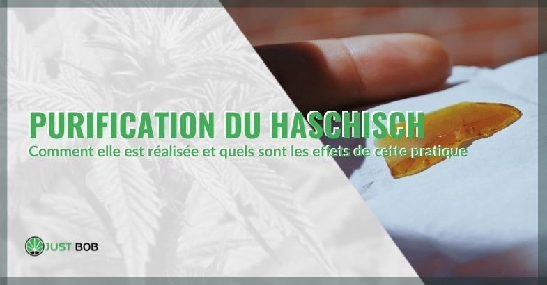 Comment se purifier du haschisch