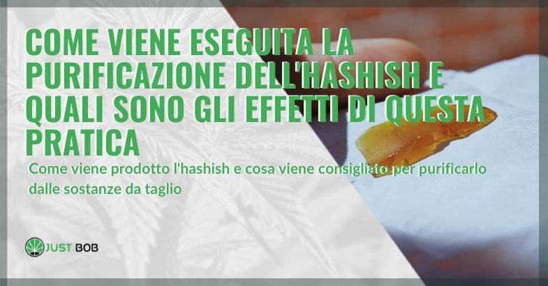 Come viene eseguita la purificazione dell’hashish