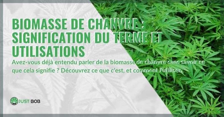 Biomasse de chanvre: signification du terme et utilisations