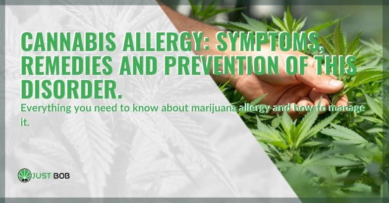 Cannabis allergy: symptoms, remedies and preventio