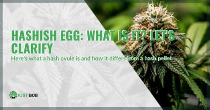 Hashish egg: what is it?