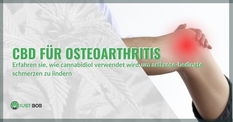 CBD für Osteoarthritis: Wie man es verwendet