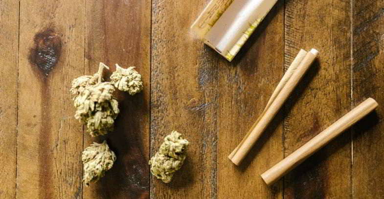 Cannabis: suoi pro e i suoi contro