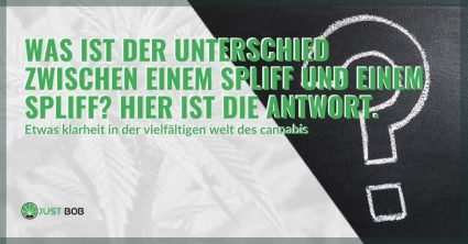 Was ist der Unterschied zwischen einem Joint und einem Spliff?