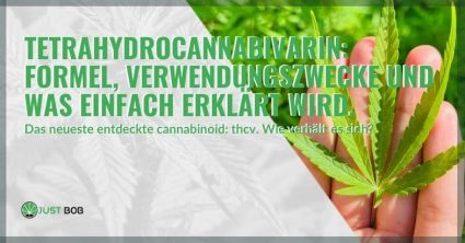 Tetrahydrocannabivarin: Formel, Verwendungszwecke und was einfach erklärt wird.