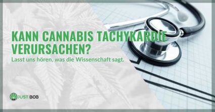 Kann Cannabis Tachykardie verursachen? Lasst uns hören, was die Wissenschaft sagt.