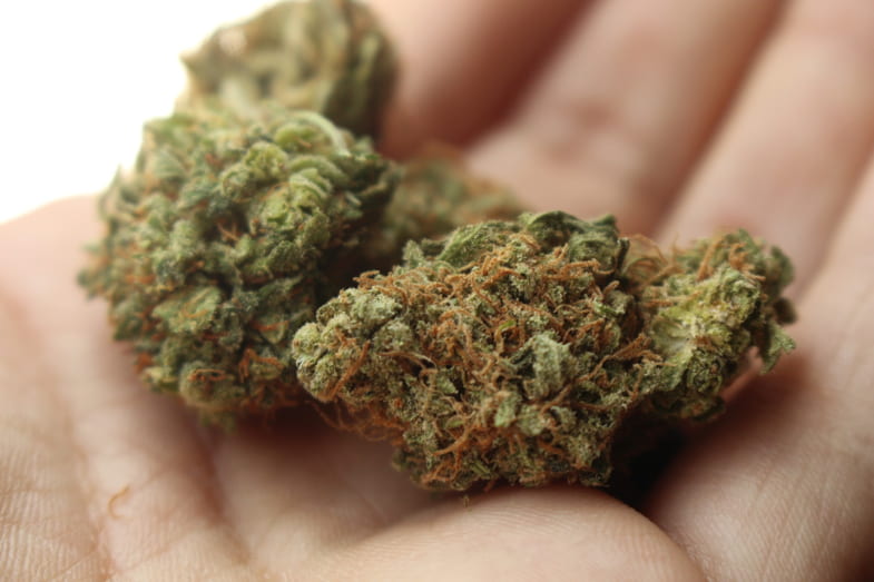 La loi maltaise sur l’usage responsable du cannabis