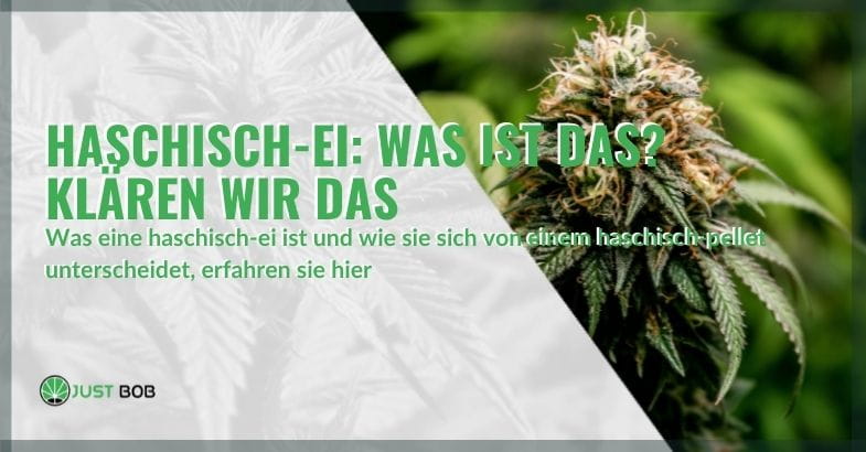 Haschisch-Ei: Was ist das?