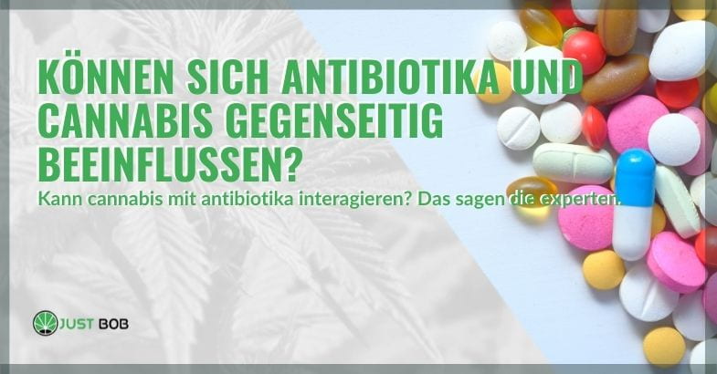 Können sich Antibiotika und Cannabis gegenseitig beeinflussen?