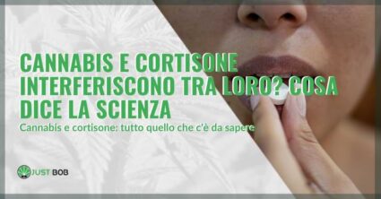 Cannabis e cortisone interferiscono tra loro?