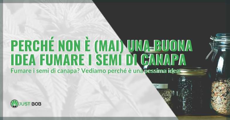 Perché non è una buona idea fumare i semi di canapa