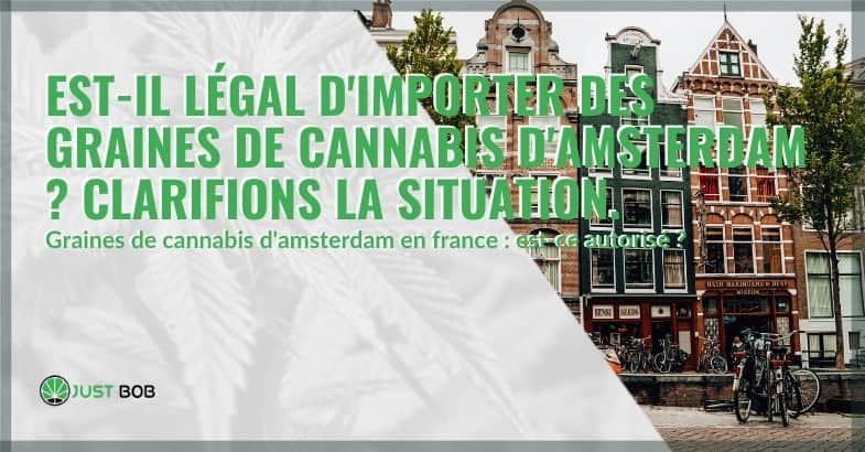 Est-il légal d’importer des graines de cannabis d’Amsterdam ?