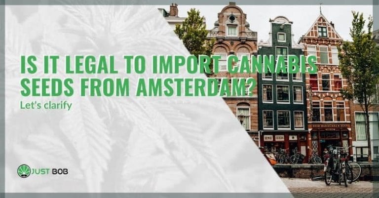 Importing cannabis seeds from Amsterdam