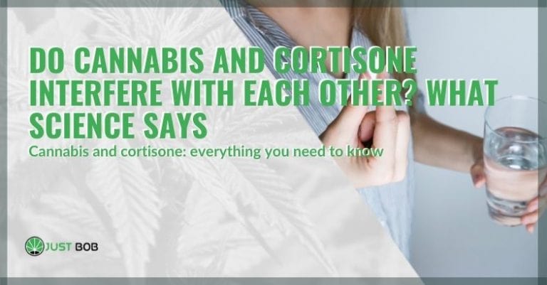 Do cannabis and cortisone interfere with each other?