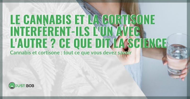 Le cannabis et la cortisone interfèrent-ils l’un avec l’autre ?