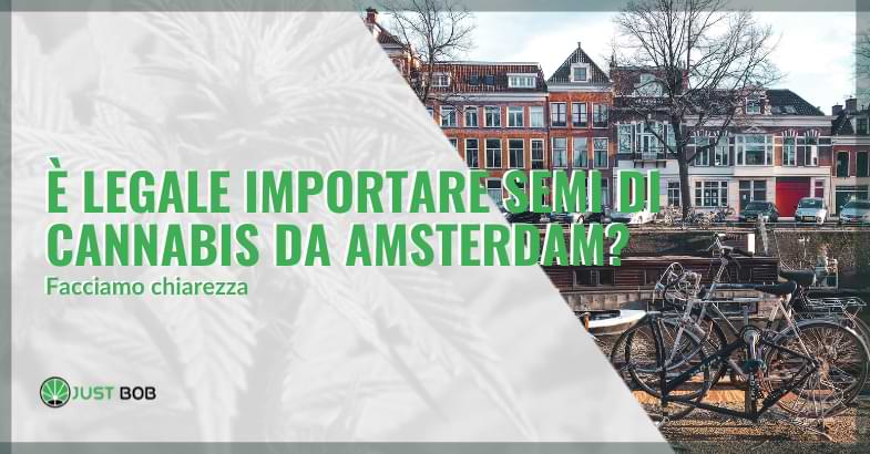 È legale importare semi di cannabis da Amsterdam?