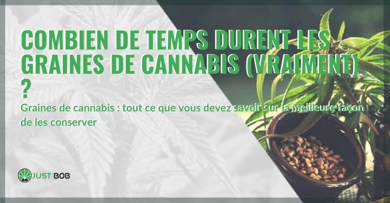 Combien de temps durent les graines de cannabis?