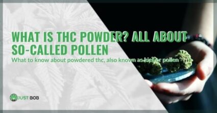 What is THC powder?
