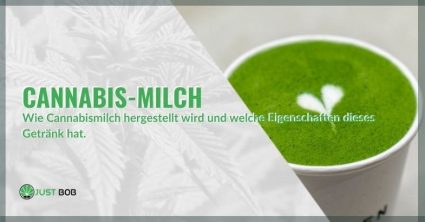 Wie Cannabismilch hergestellt wird und welche Eigenschaften dieses Getränk hat.