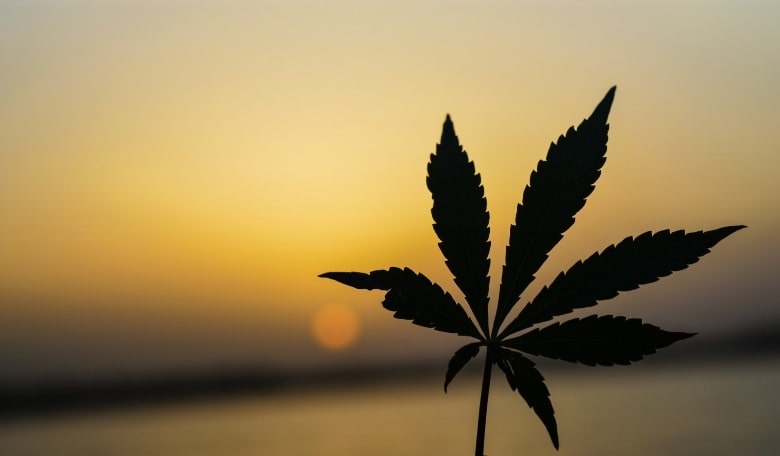 What is the current law on marijuana in Croatia?