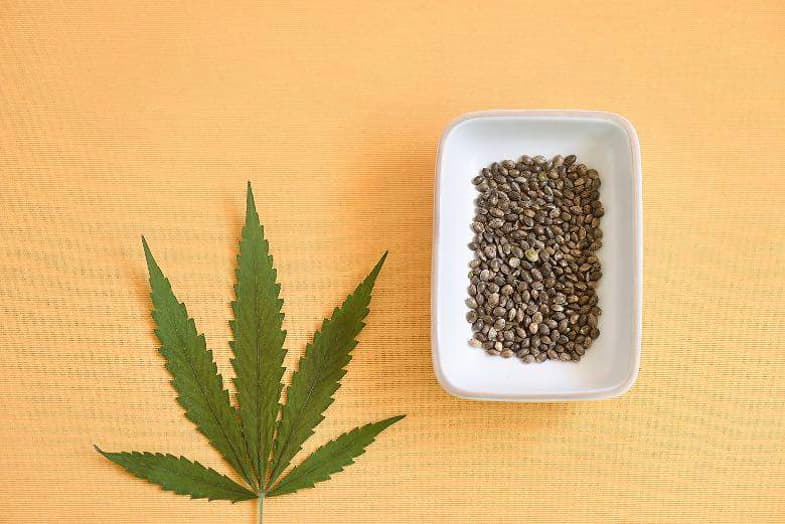 Non fumare semi di cannabis
