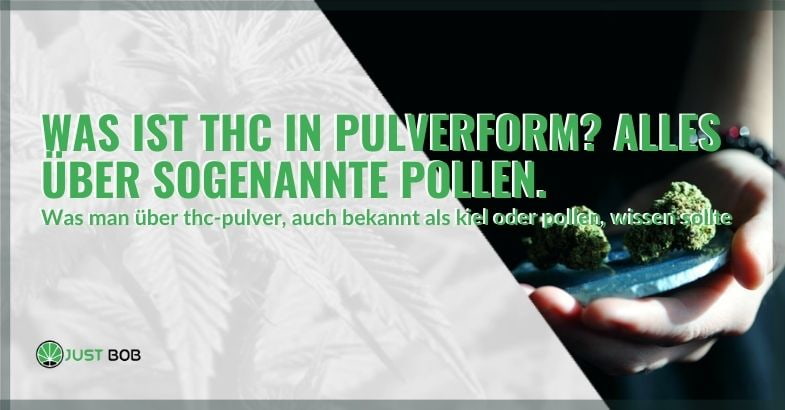 Was ist THC in Pulverform?