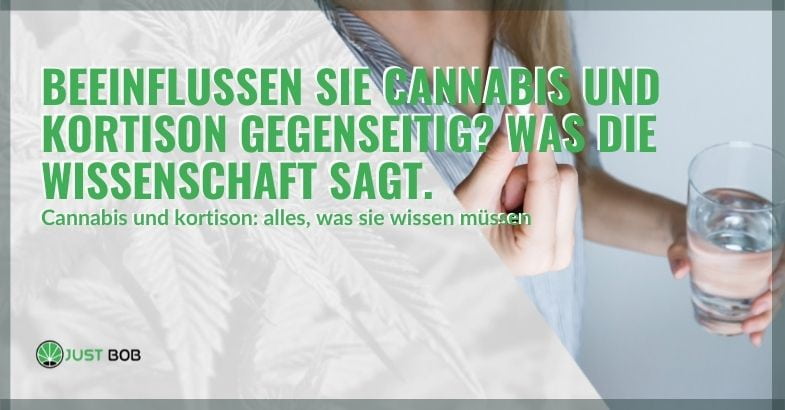 Wie lange halten Cannabissamen