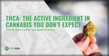 THCA: the active ingredient in cannabis you don’t expect