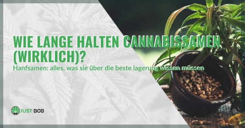 Wie lange halten Cannabissamen ?