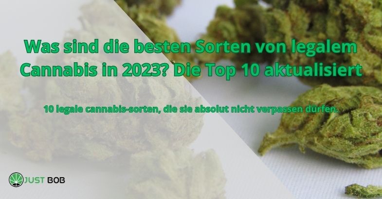 Was sind die besten Sorten von legalem Cannabis in 2023? Die Top 10 aktualisiert