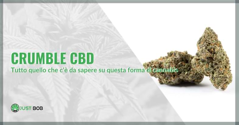 Crumble CBD: tutto quello che c’è da sapere su questa forma di cannabis