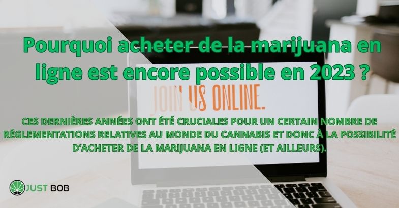 Pourquoi acheter de la marijuana en ligne est encore possible en 2023 ?