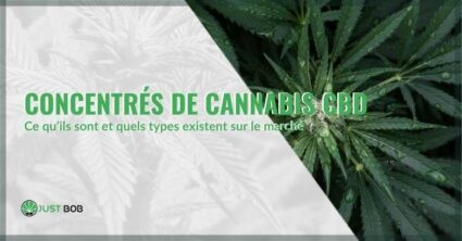 Concentrés de cannabis CBD