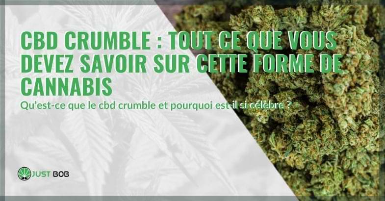 CBD crumble: tout ce que vous devez savoir sur cette forme de cannabis