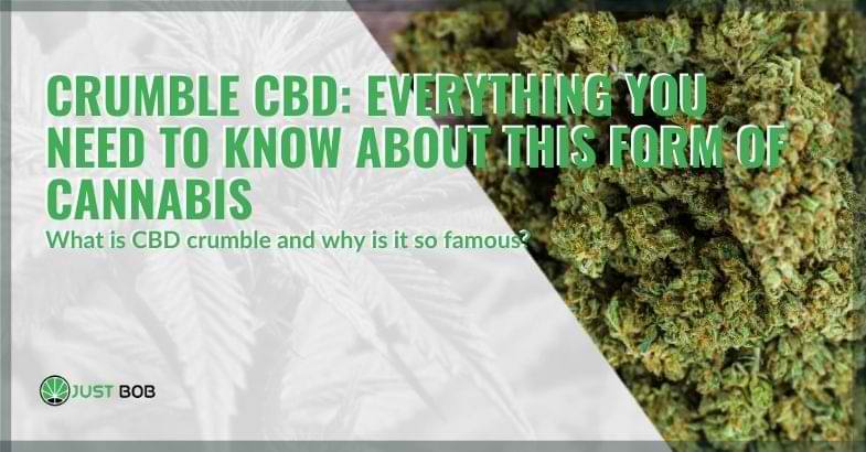 Crumble CBD: everything you need to know about this form of cannabis