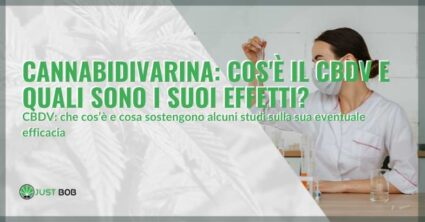 Cannabidivarina: cos’è il CBDV e quali sono i suoi effetti?