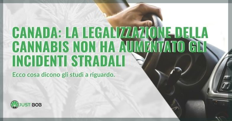 Canada: la legalizzazione della cannabis non ha aumentato gli incidenti stradali