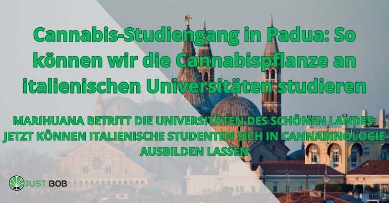 Cannabis Courses in Padua