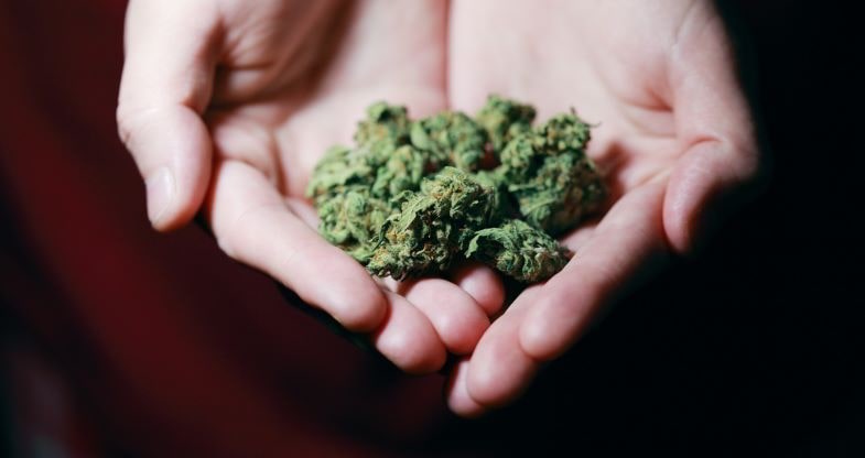 Effetti della legalizzazione della cannabis in Canada