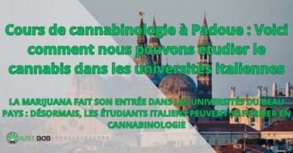 Le cours de cannabis de Padoue