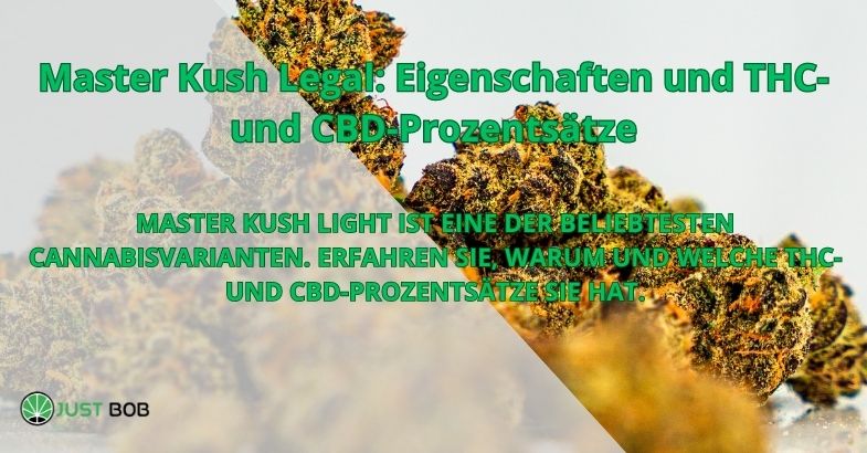 Master Kush Legal: Eigenschaften und THC- und CBD-Prozentsätze