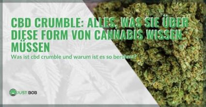 CBD Crumble: Alles, was Sie über diese Form von Cannabis wissen müssen