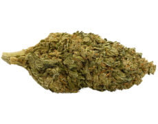 Fleur CBD Bubblegum 