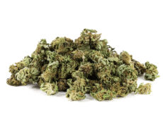 Outdoor Mix cbd gras 