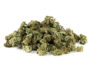 62729 Outdoor Mix cbd gras
