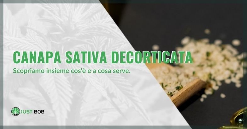 Canapa sativa decorticata: cos’è e a cosa serve